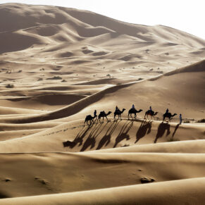 Marokko, Wüstentrekking und Yoga mit Sahara Yoga in der Erg Chebbi, eine reine Sandwüste, Teil der Sahara. 4.2-8.2.2014