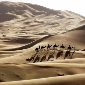 Marokko, Wüstentrekking und Yoga mit Sahara Yoga in der Erg Chebbi, eine reine Sandwüste, Teil der Sahara. 
4.2-8.2.2014