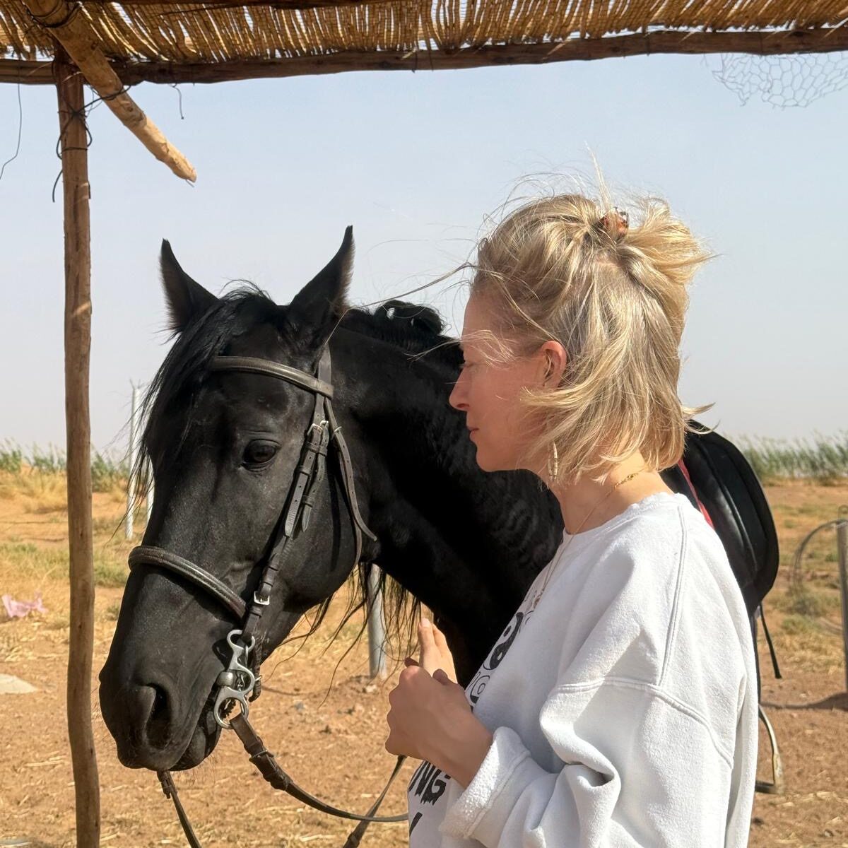 8d9b4290-de59-4213-8955-925d8cf0b718 8d9b4290-de59-4213-8955-925d8cf0b718